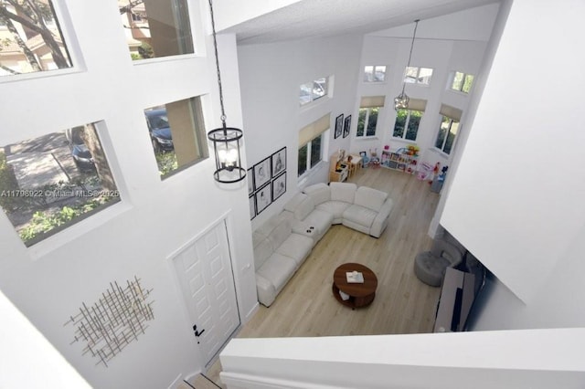 living area featuring a towering ceiling, wood finished floors, and healthy amount of natural light