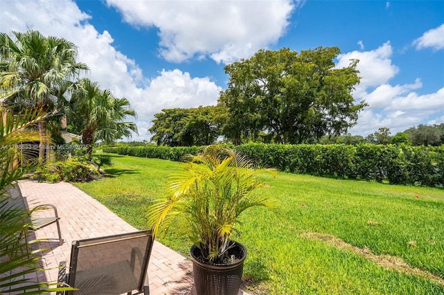 3620 E Forge Rd Unit 16, Davie, FL 33328 - view of green lawn featuring a patio area