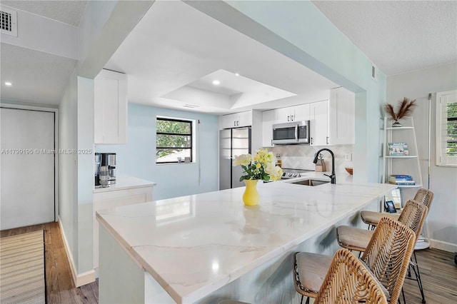 1779 NE 39th Ct Unit 1107, Pompano Beach, FL 33064 - kitchen featuring appliances with stainless steel finishes, a peninsula, light wood-style flooring, light stone countertops, and recessed lighting