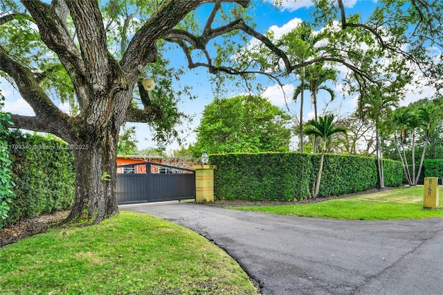 view of asphalt driveway with a gate and a gated entry