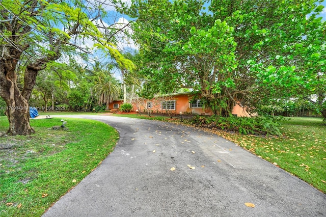 obstructed view of property with asphalt driveway and a front yard