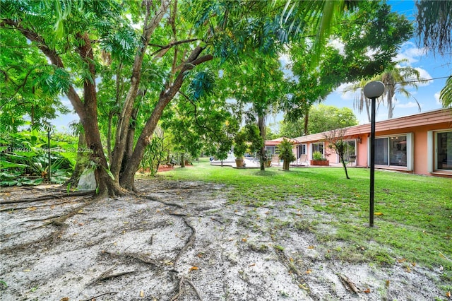 view of green lawn