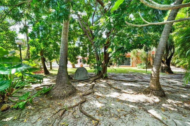 view of yard