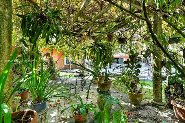 view of yard featuring a patio area