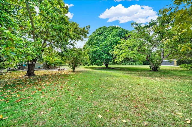 view of grassy yard