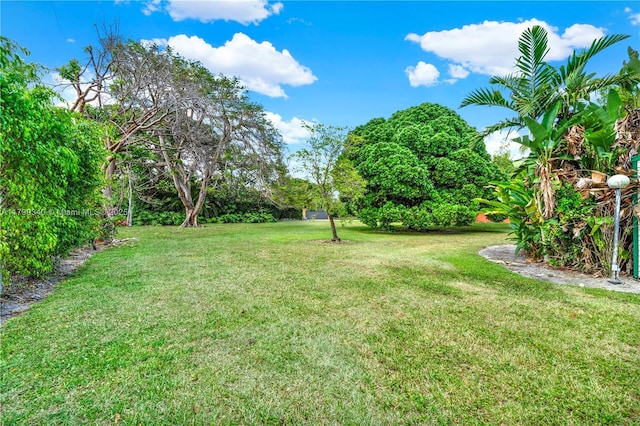 view of green lawn