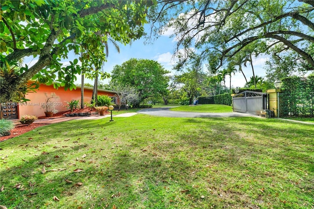 view of grassy yard
