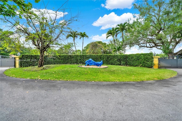 surrounding community featuring a gate