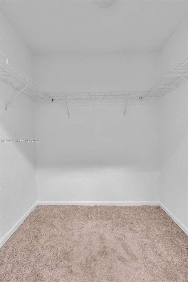 spacious closet with carpet