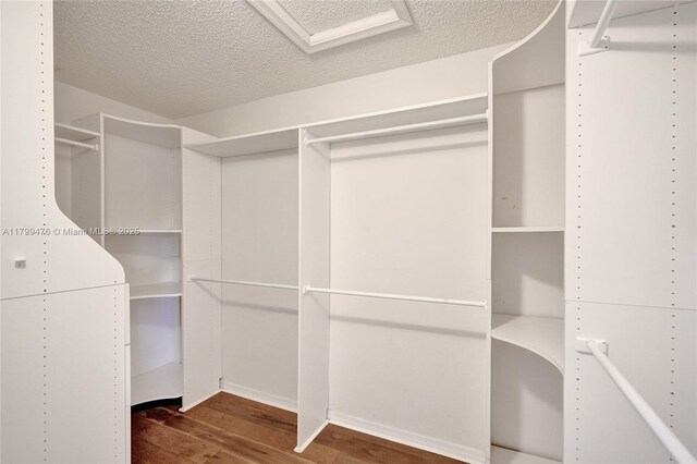 5354 NW 119th Ter, Coral Springs, FL 33076 - walk in closet with wood finished floors