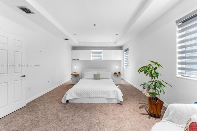 655 SE 37th Ter, Homestead, FL 33033 - bedroom featuring carpet floors, a raised ceiling, and baseboards