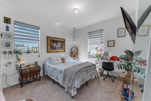 655 SE 37th Ter, Homestead, FL 33033 - bedroom featuring multiple windows, light colored carpet, baseboards, an office area, and crown molding