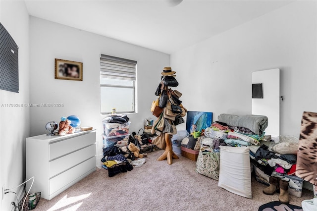 655 SE 37th Ter, Homestead, FL 33033 - view of carpeted bedroom
