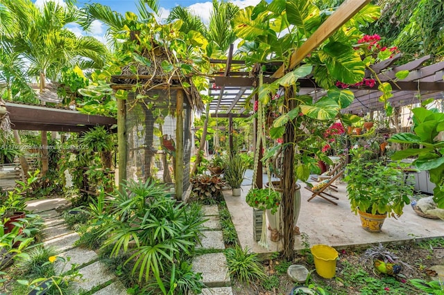 655 SE 37th Ter, Homestead, FL 33033 - view of yard featuring a pergola and a patio area