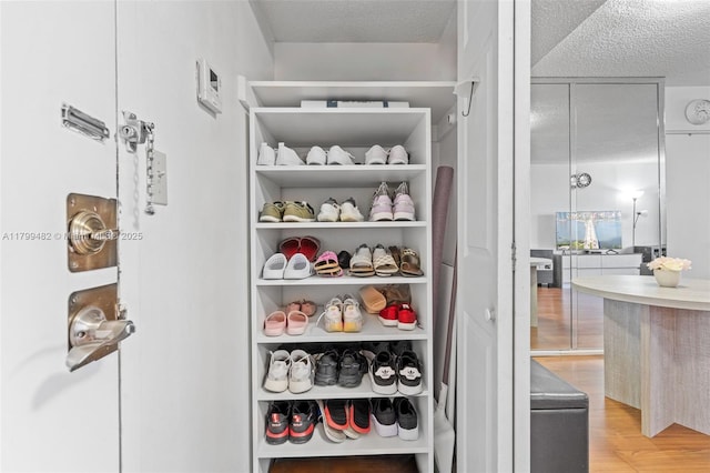 251 174th St Unit 212, Sunny Isles Beach, FL 33160 - view of closet