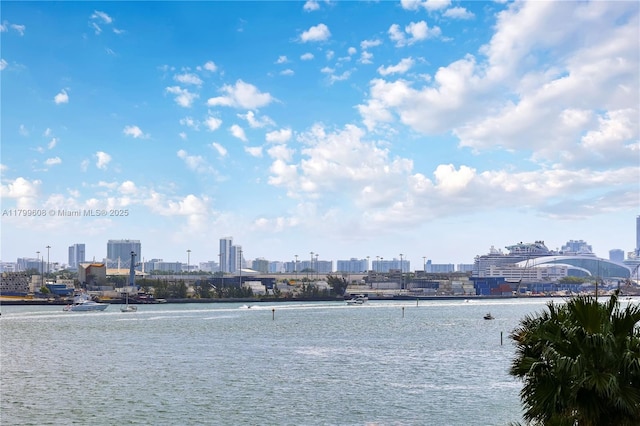 901 Brickell Key Blvd Unit 607, Miami, FL 33131 - water view with a skyline view