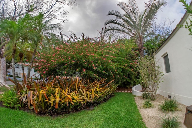 246 NE 92nd St, Miami Shores, FL 33138 - view of grassy yard