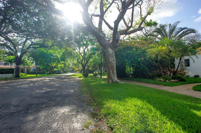 246 NE 92nd St, Miami Shores, FL 33138 - view of asphalt street