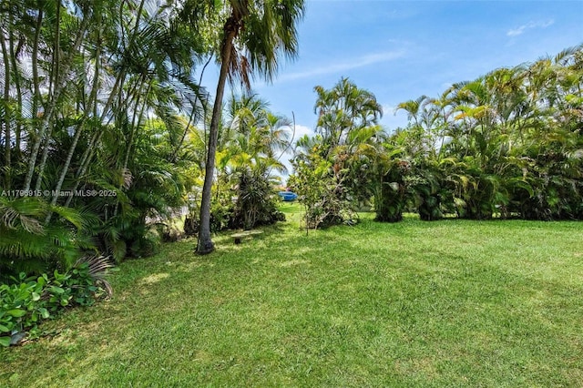 10840 NW 40th St, Coral Springs, FL 33065 - view of green lawn