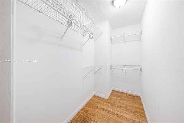 10840 NW 40th St, Coral Springs, FL 33065 - walk in closet with light wood-style flooring