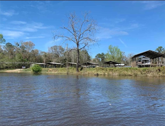 15810 NE County Road 120, East Liberty, FL 32334 - photo 2