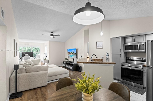 living area featuring vaulted ceiling, a ceiling fan, a textured ceiling, and wood finished floors