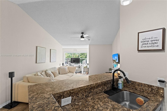 kitchen featuring a sink, wood finished floors, a ceiling fan, vaulted ceiling, and a textured ceiling