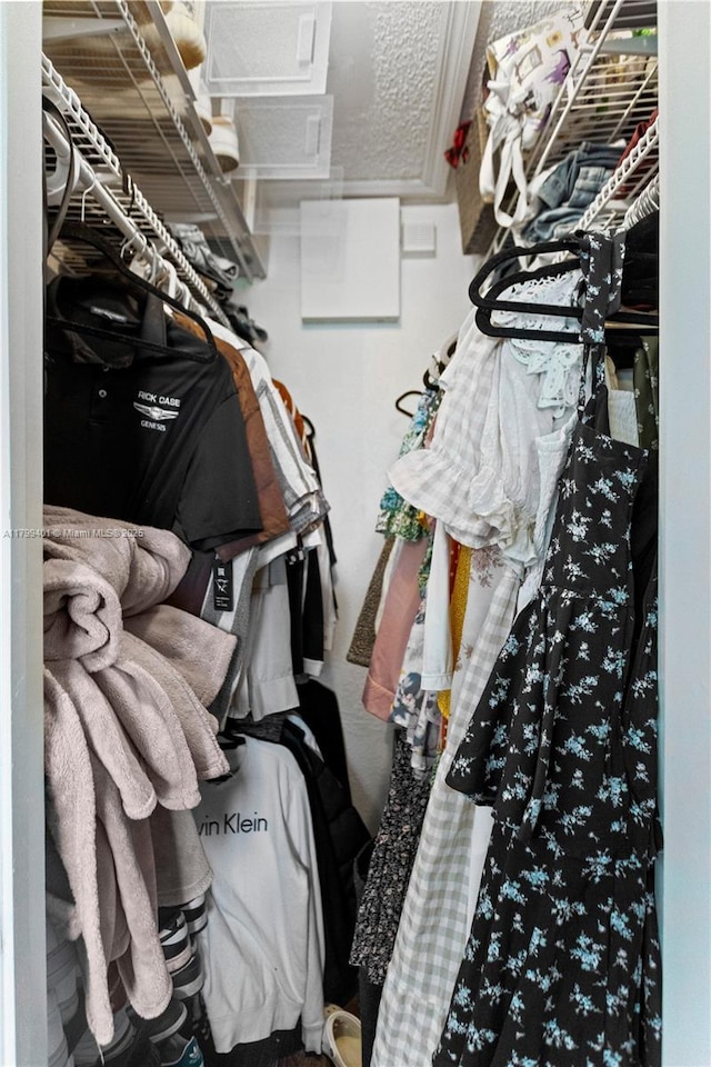 view of walk in closet