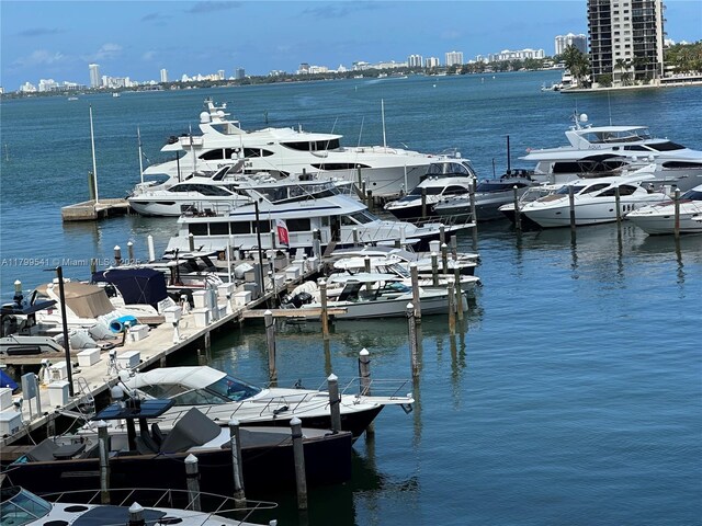 555 NE 15th St Unit 508, Miami, FL 33132 - dock with a view of skyline and a water view