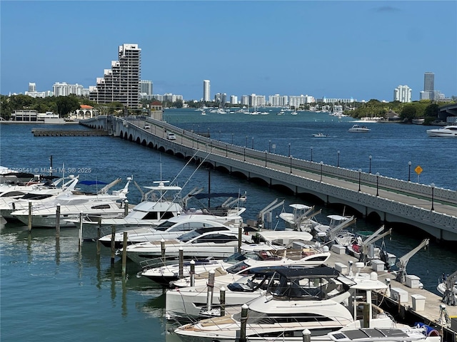 555 NE 15th St Unit 508, Miami, FL 33132 - water view with a notable bridge, skyline, and a boat dock