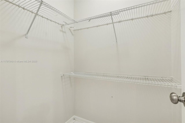 8101 NW 44th Ct, Lauderhill, FL 33351 - view of walk in closet