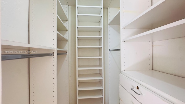 view of spacious closet