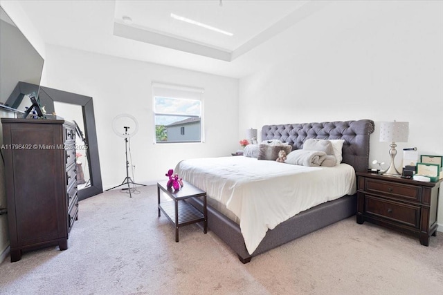 25079 SW 114th Ct, Homestead, FL 33032 - bedroom with light colored carpet and a raised ceiling