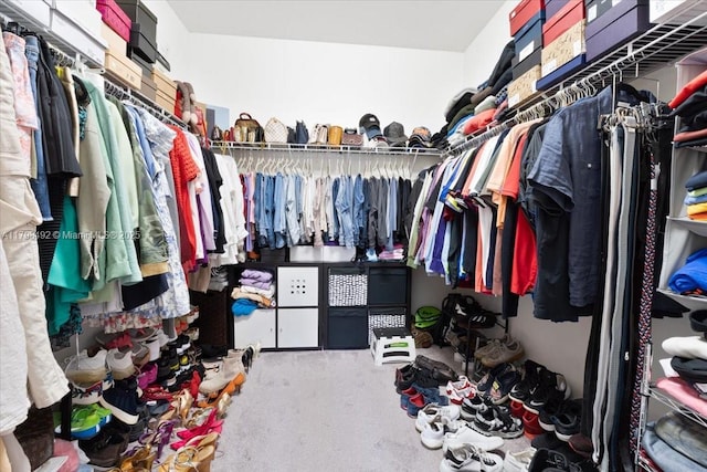 25079 SW 114th Ct, Homestead, FL 33032 - walk in closet featuring carpet floors