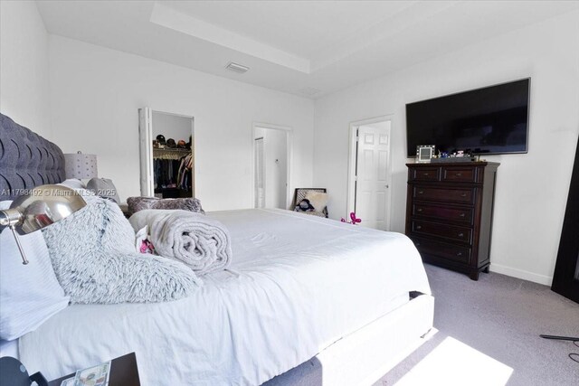 25079 SW 114th Ct, Homestead, FL 33032 - bedroom with carpet flooring, a walk in closet, a tray ceiling, and a closet