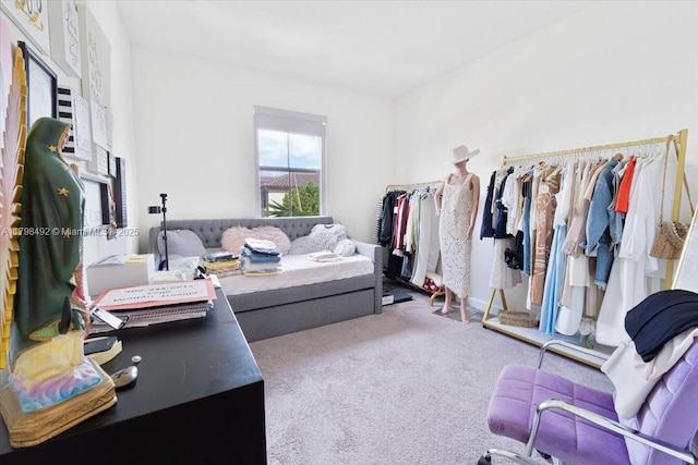 25079 SW 114th Ct, Homestead, FL 33032 - walk in closet with carpet flooring