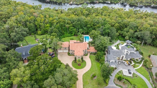 12 Tidewater Dr, Ormond Beach, FL 32174 - aerial view of property's location with a large body of water and a forest