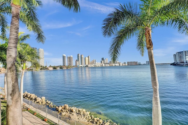 3400 NE 192nd St Unit Ph11, Aventura, FL 33180 - water view with a skyline view