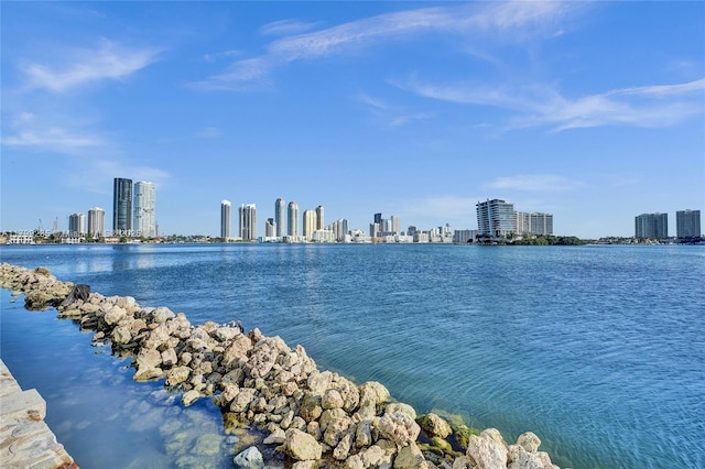 3400 NE 192nd St Unit Ph11, Aventura, FL 33180 - water view featuring a skyline view