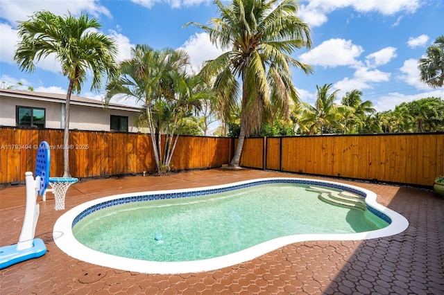 327 S 28th Ave, Hollywood, FL 33020 - view of swimming pool with a fenced backyard and a patio