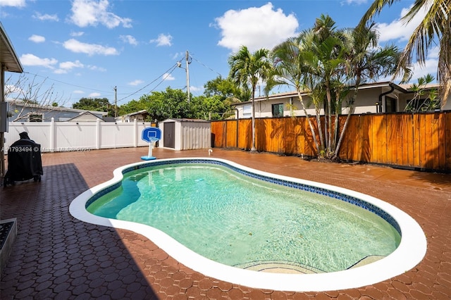 327 S 28th Ave, Hollywood, FL 33020 - view of swimming pool featuring a fenced backyard, a patio area, a shed, and an outdoor structure