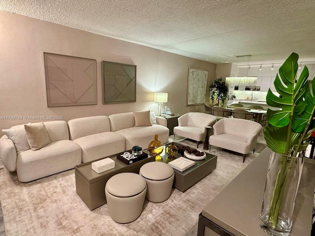 living area featuring rail lighting and a textured ceiling