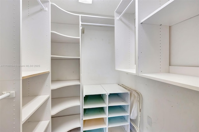 2730 NW 105th Ter, Coral Springs, FL 33065 - view of walk in closet