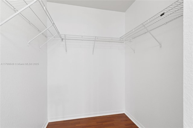 spacious closet with wood finished floors