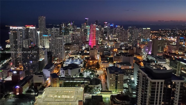 851 NE 1st Ave Unit 2208, Miami, FL 33132 - city view featuring a view of city lights