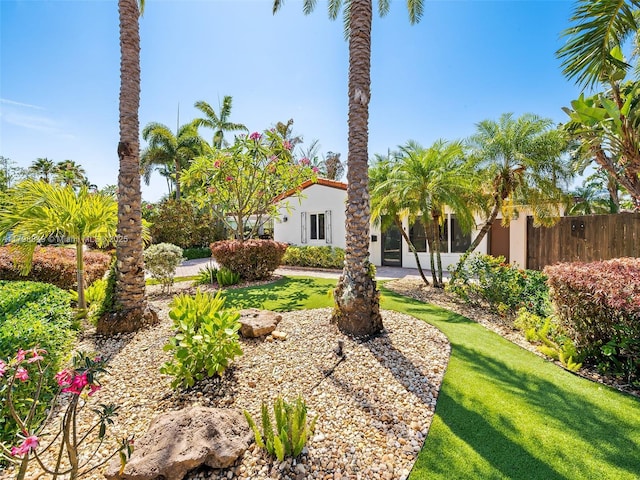 1730 NE 16th St, Fort Lauderdale, FL 33304 - view of yard