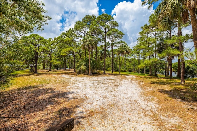 146 NE Blueberry Ln, Jensen Beach, FL 34957 - photo 53