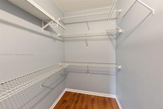 6668 Burning Wood Dr Unit 166, Boca Raton, FL 33433 - walk in closet with wood finished floors