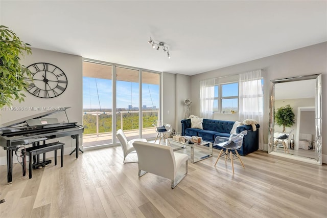 living room with expansive windows, light wood-style flooring, and rail lighting