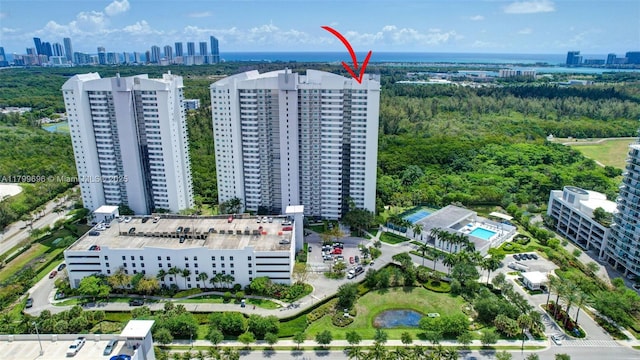 aerial view of a skyline view